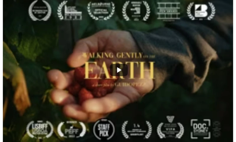 Pezz Media House - Walking Gently on the Earth