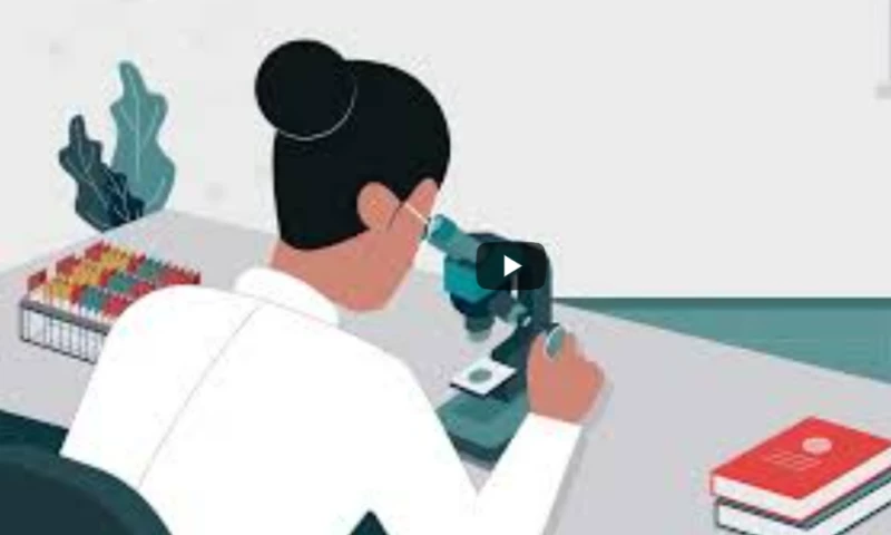 Explainify - Indica Labs Pharma Services