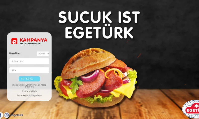 BrainFleck Solution - E-kampanya