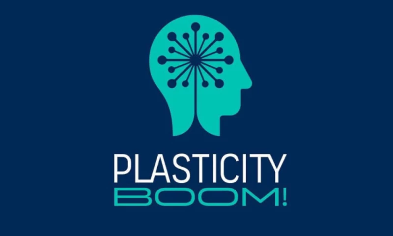 Plasticity Boom