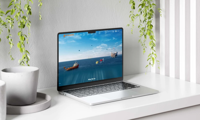 Plaxonic Technologies - Creating an Interactive Website for Petrodive