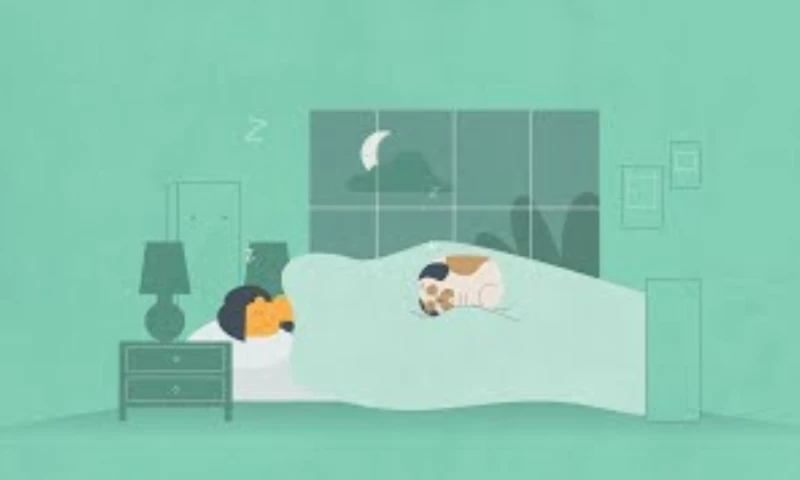 A Different Way to Pay for Healthcare - CrowdHealth