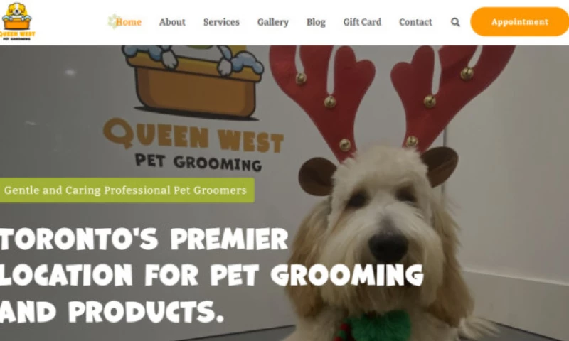 Yesterday Design Company - Queen West Pet Grooming