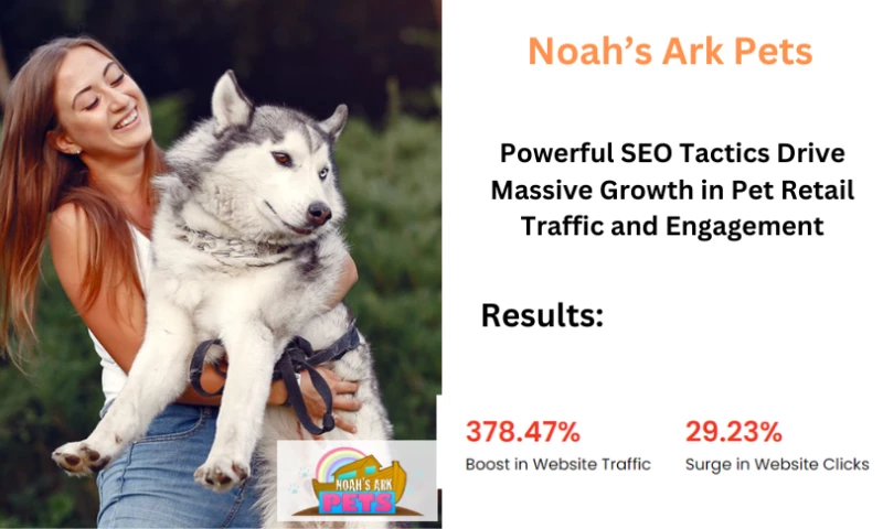 378.47% Boost in Website Traffic : Case study : Noahs Ark Pets
