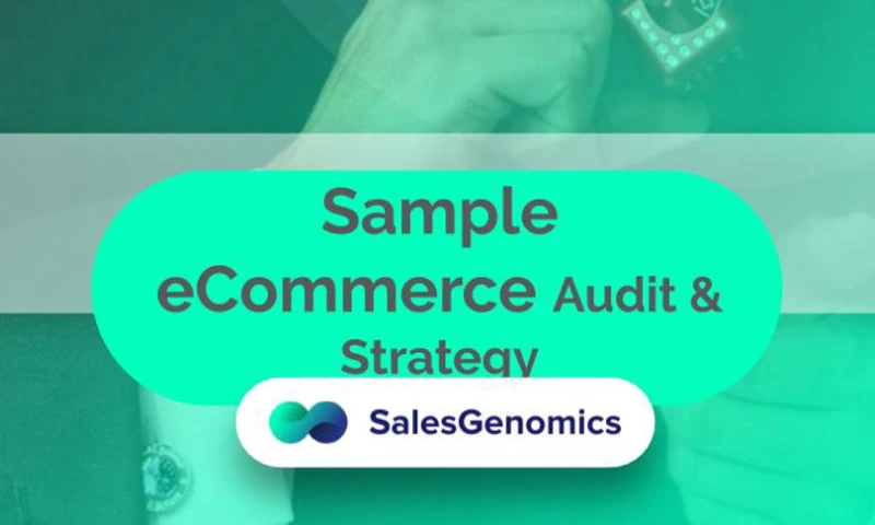 SalesGenomics - Sample Business Audit & Strategy