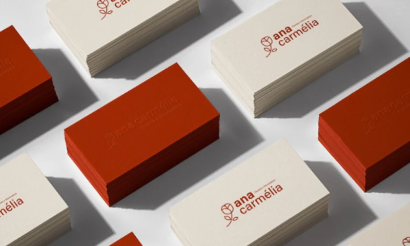 Dri Design studio - Ana Carmela