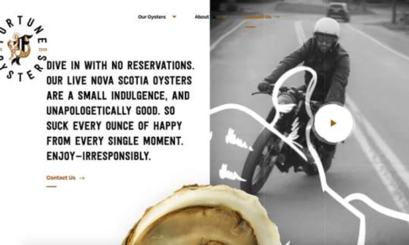 Dose Media - Fortune Oysters