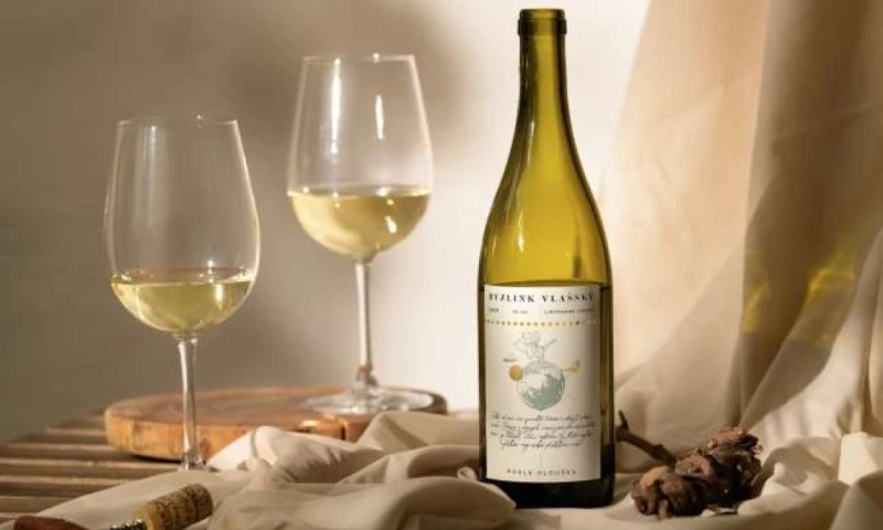 Cocoon Prague - Petr Hloušek