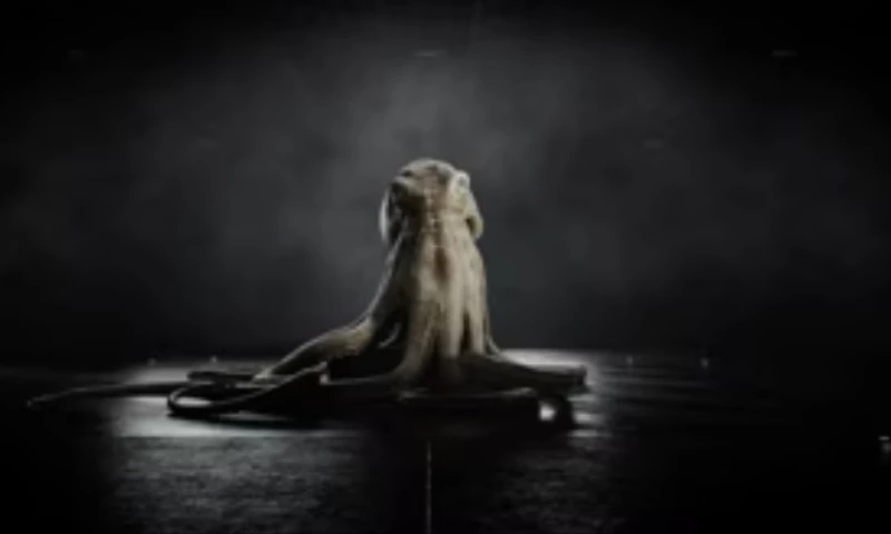 CHEESE Productions GmbH - ACELab Europe