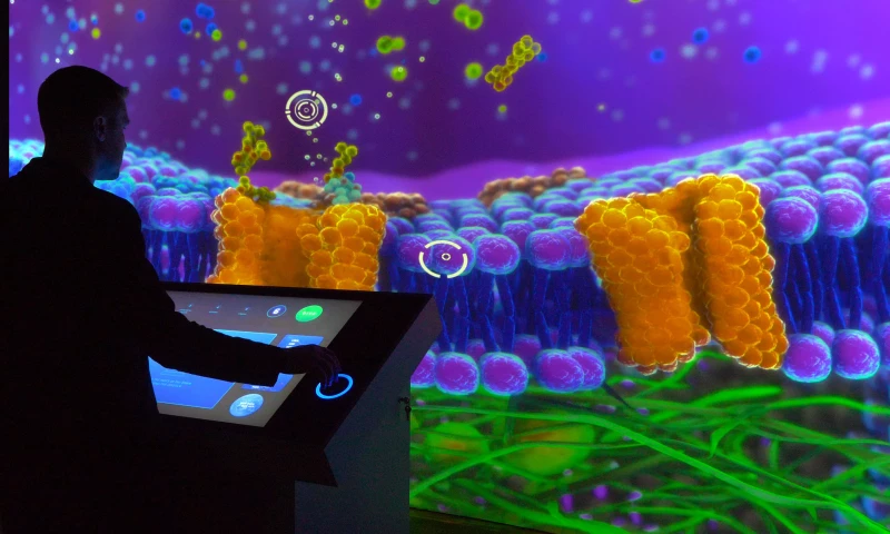 Ideum - Immersive Journeys Into the Brain