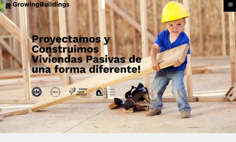 The Webmaster - Growing Buildings