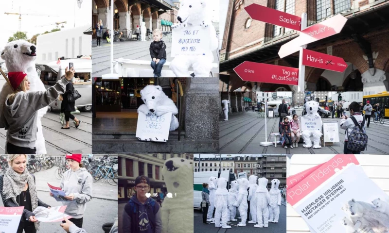 InBold - Coca-Cola Arctic Home