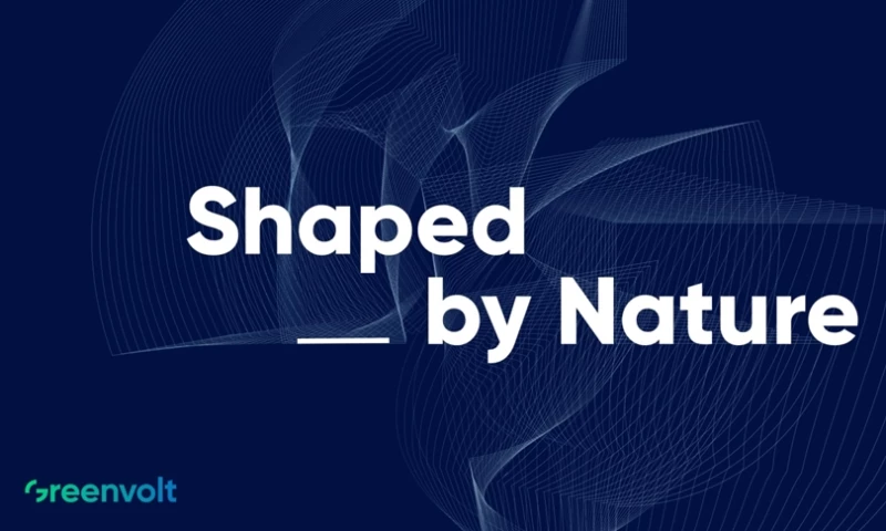 Greenvolt's Brand Strategy