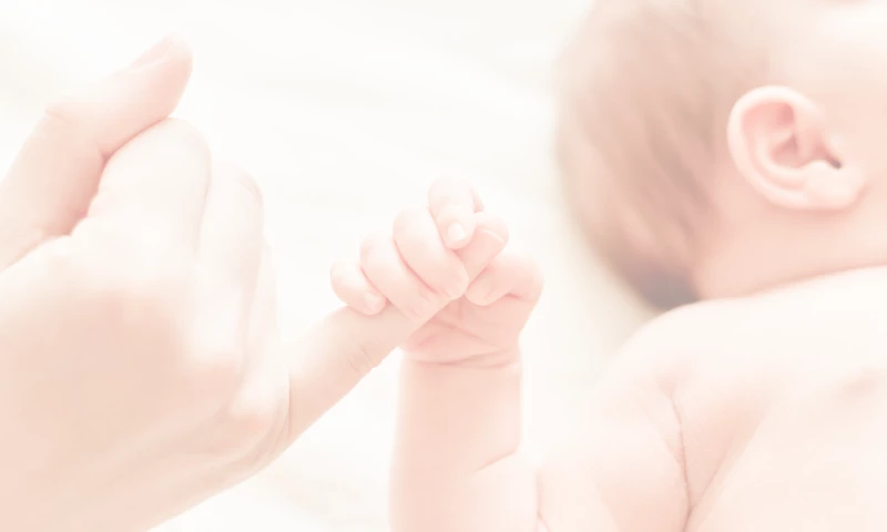 Project with Medical Fertility Center