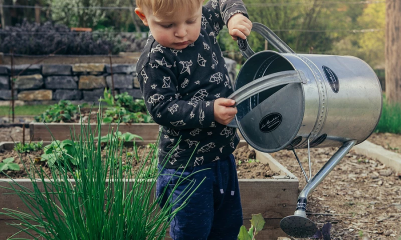 InBold - Davidsen - A new sub-brand