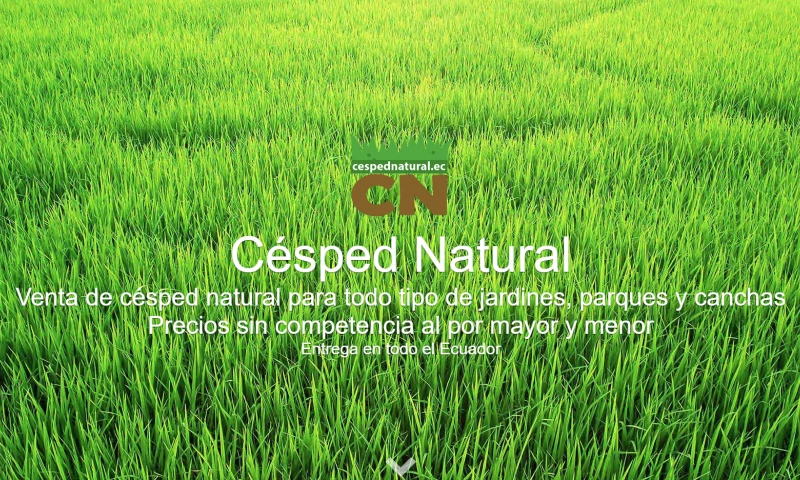 eaweb - Césped Natural