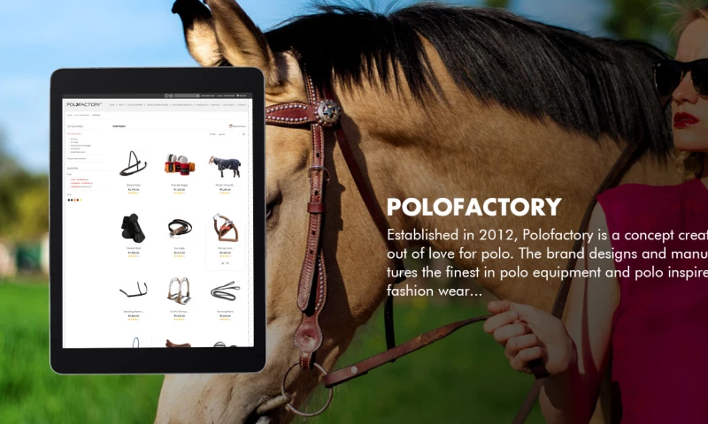 eBizneeds - Polofactory