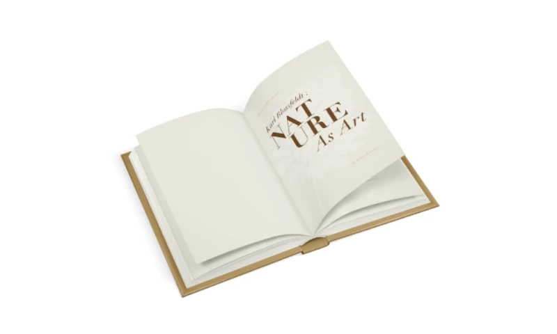 Rasika Hirekerur - Karl Blossfeldt