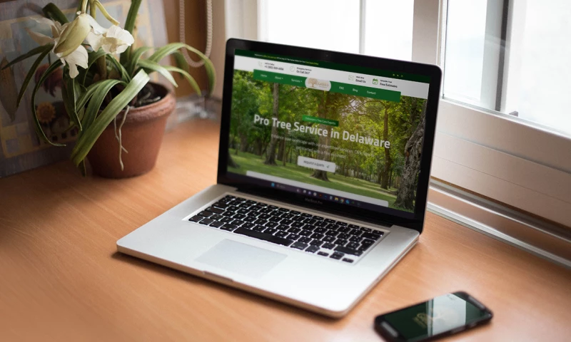 BRANDSHAPE - Gibbs Tree Service: Digital Transformation & SEO Dominance