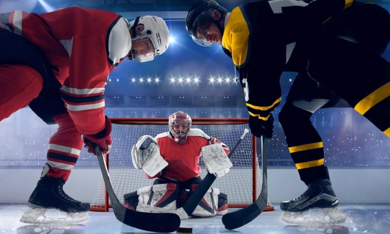 Mageplaza - Hockey Factory Shop UK