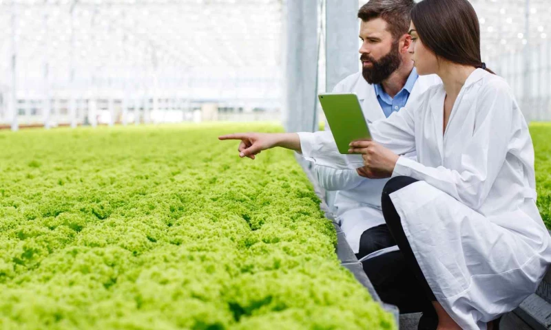 AgriTech Mobile Application Modernization