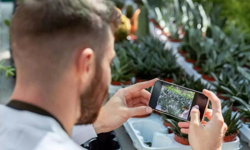 Developed Noxious Weed Management System