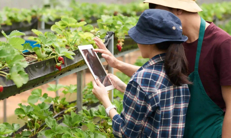 AWS Ecosystem utilization for digital agriculture