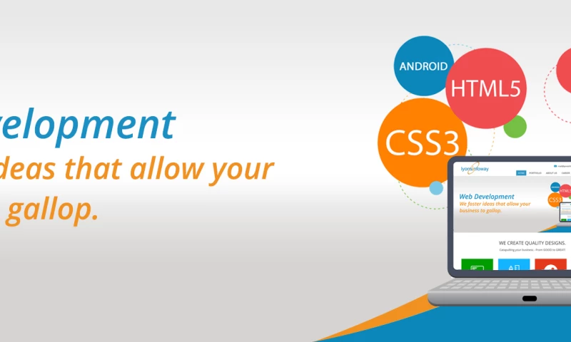 Lyonsinfoway - Web Development Company Sydney