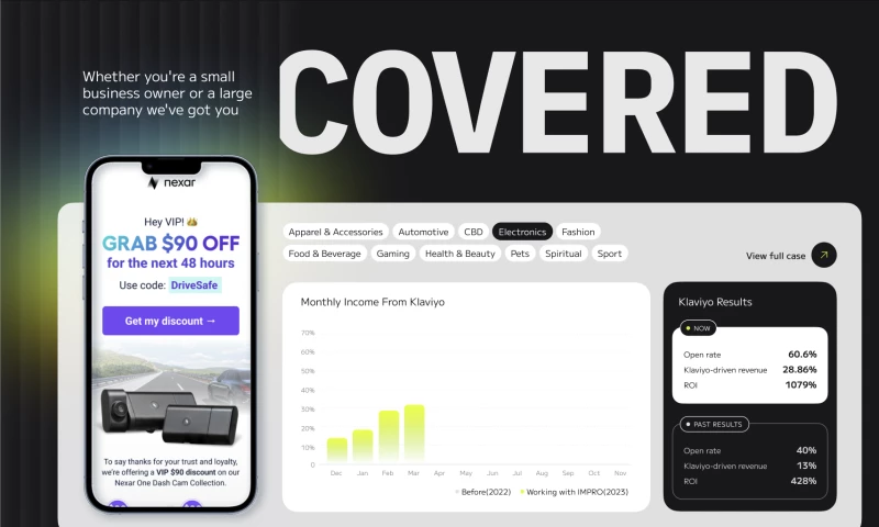 Klaviyo Results for Client in Electronics Niche
