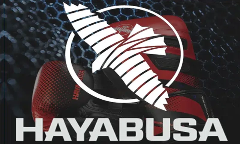 Hayabusa
