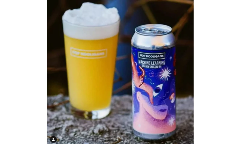 Diana Barbu - Hop Hooligans Machine Learning