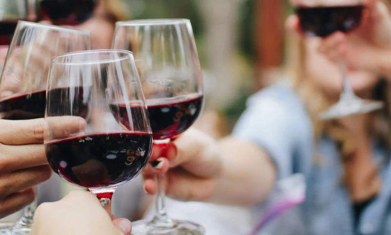 Regis Team - Promotion of a Platform for Booking Wine Tours and Wine Tastings