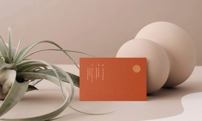 The Upturn Studio - Pacama Coffee