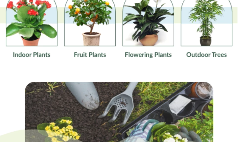 360Growth Marketers - Exotic Flora