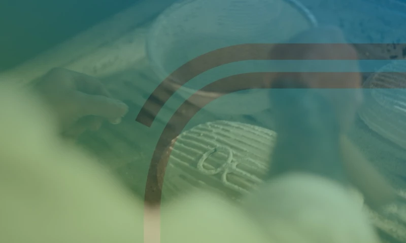 Imagine What's Possible