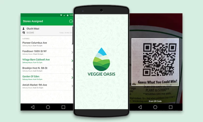 Biz 4Solutions - Veggie Oasis