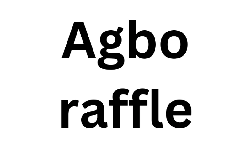 ByteQuest Softwares Pvt Ltd - Agbo raffle