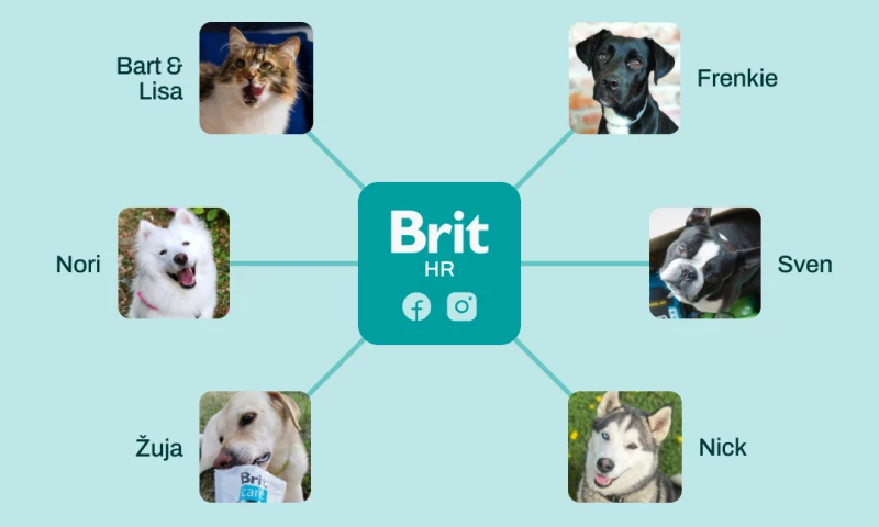ForgeBIT - How We Showcased Brits Personality Through Furry Brand Ambassadors on Social Media