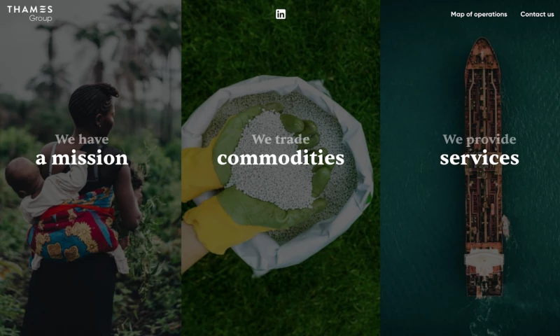 Glivera team - WordPress Developer for studio site. Typeform