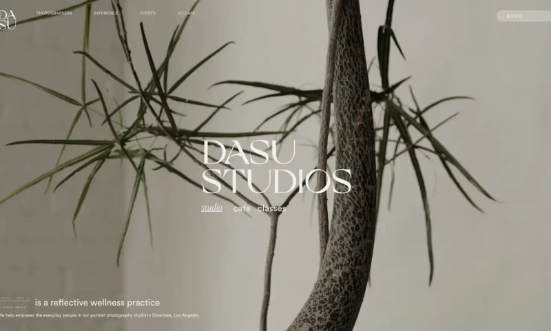 Glivera team - WordPress Developer for trading site. Elementor