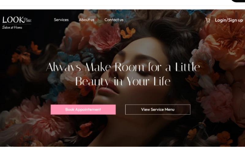 Datametricks Consulting Pvt. Ltd. - LookPlex