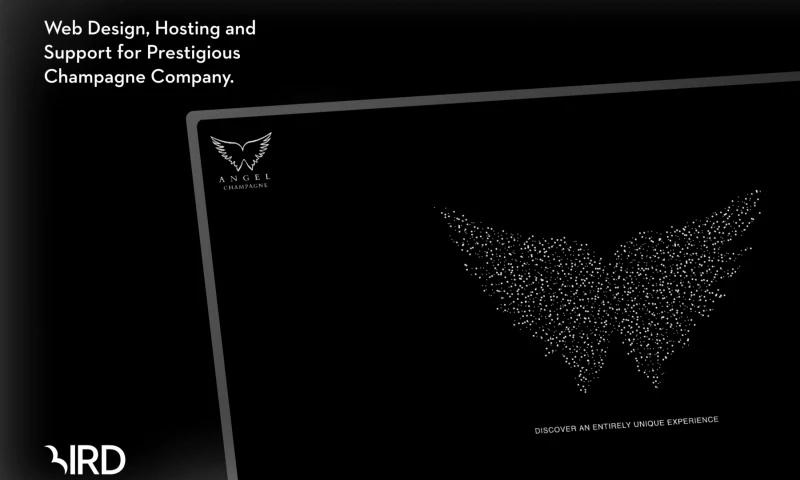 Bird Marketing - Angel Champagne Web Design, Hosting and Support for Prestigious Champagne Company.