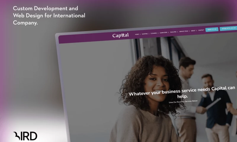 Bird Marketing - Capital Web Design for International Asset Management Company