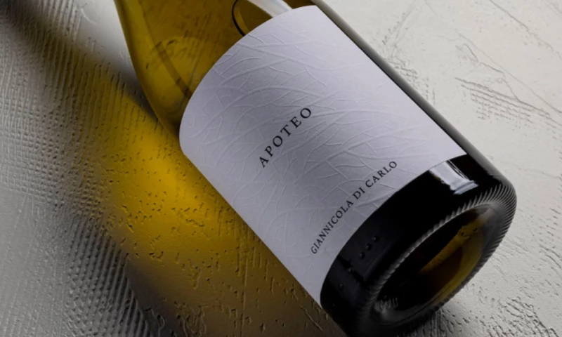 Stefano Bracci - Apoteo