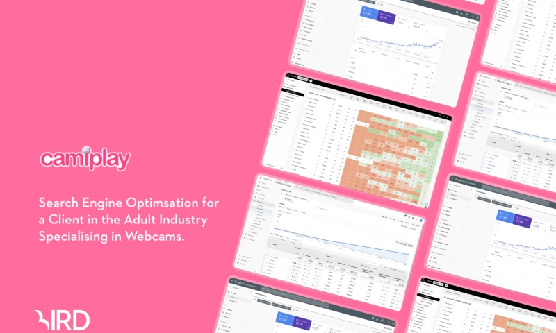 Bird Marketing - Camiplay Search Engine Optimsation