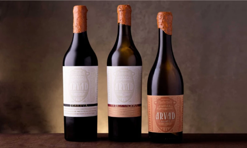 Rita Rivotti - Arvad