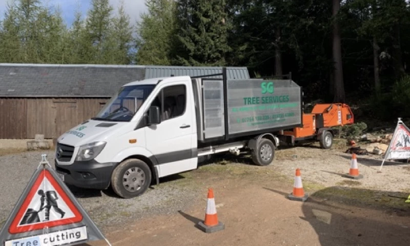 Genie Crawl - Rebuild Website and SEO Marketing