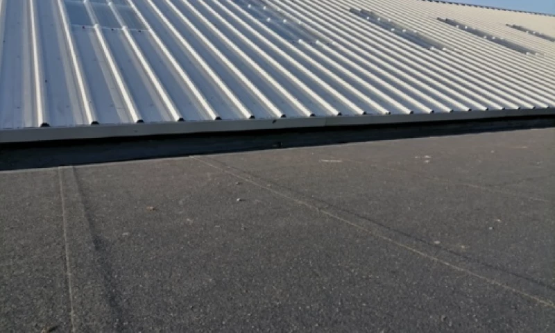 Genie Crawl - Google Ads Management for Roofing Company