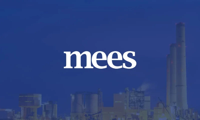 Simple Web Solutions - MEES - Web Design, Web Development & Digital Marketing