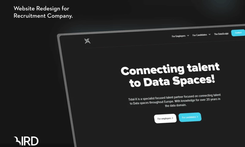 Bird Marketing - Tidal-X Website Design for Data Space Recruitment Specialist.